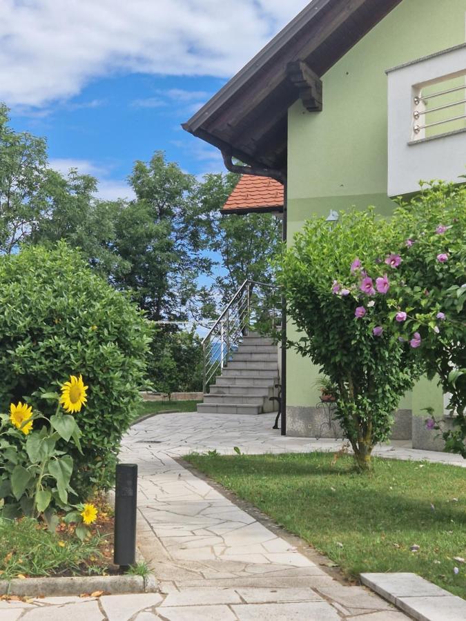 Green House Apartment Pivka Exterior photo
