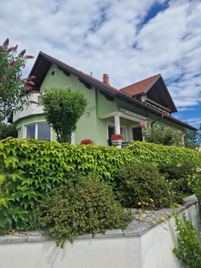 Green House Apartment Pivka Exterior photo