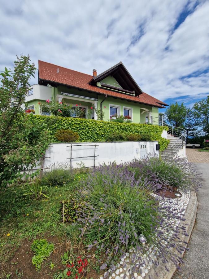 Green House Apartment Pivka Exterior photo