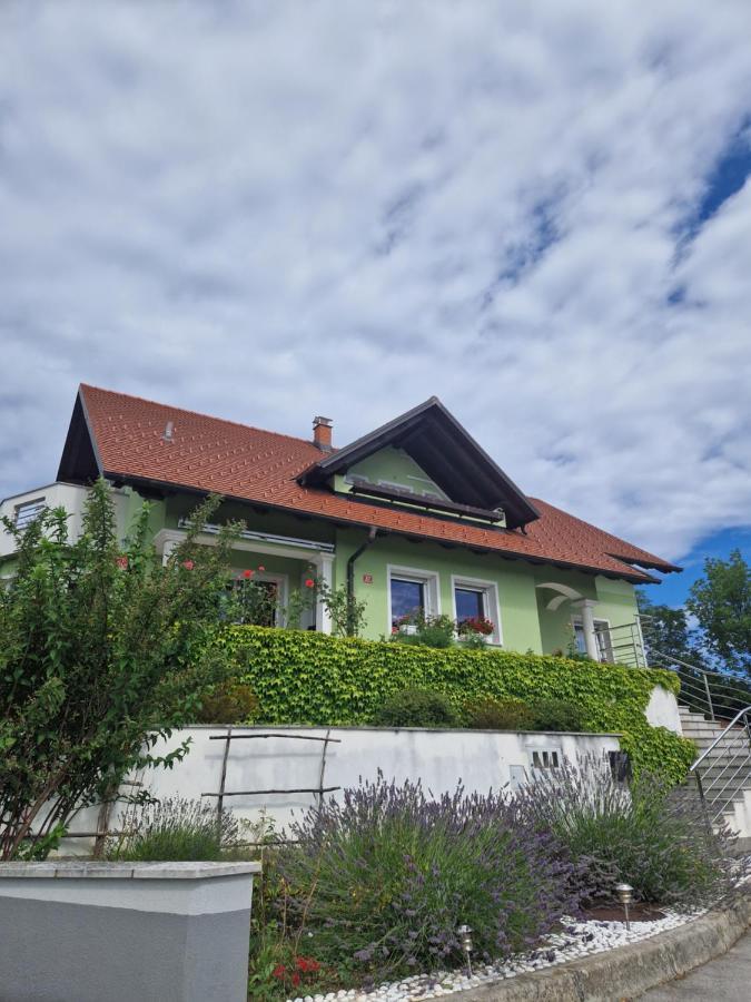 Green House Apartment Pivka Exterior photo
